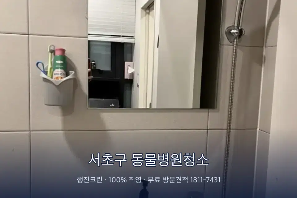 서초구 동물병원청소 병원 화장실 세면대 살균