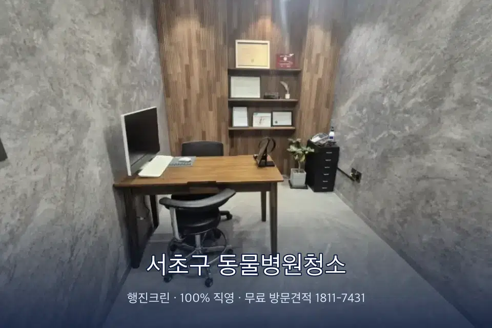 서초구 동물병원청소 원장실 책상 주변 청소