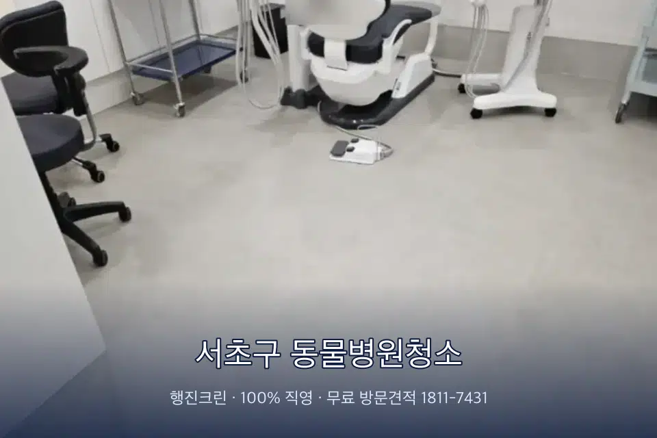 서초구 동물병원청소 치과 진료실 바닥과 집기 청소